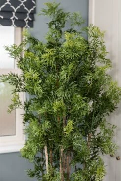 Artificial Aralia Tree On Natural Trunk (2 Size Options) -Artificial Plant Shop artificial aralia tree on natural trunk 2 size options p949 2482 zoom