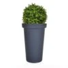 Artificial Buxus Ball In Planter