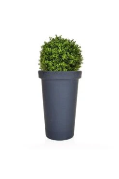 Artificial Buxus Ball In Planter