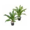 Artificial Dracaena Plant -Artificial Plant Shop artificial dracaena plant p562 1368 image