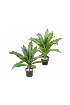 Artificial Dracaena Plant