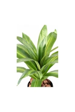 Artificial Dracaena Plant -Artificial Plant Shop artificial dracaena plant p562 1370 image