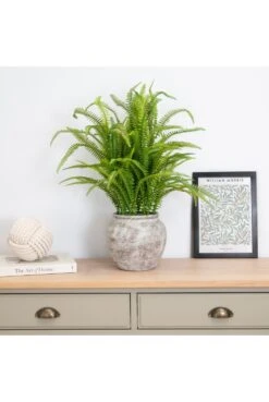 Artificial Fern Display 62cm