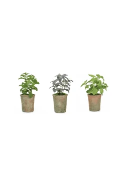 Artificial Herbs Set Of 3