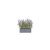 Artificial Lavender In Slate Effect Trough 2 Artificial Lavender In Slate Effect Trough -Artificial Plant Shop artificial lavender in slate effect trough p552 1333 image
