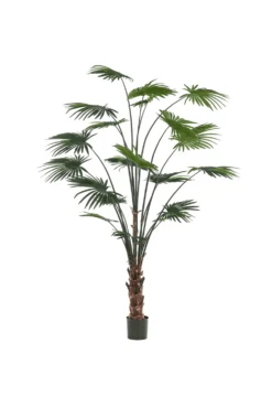 Artificial Livistona 240cm