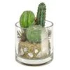 Artificial Mini Cactus Succulent Display -Artificial Plant Shop artificial mini cactus succulent display p707 1633 image
