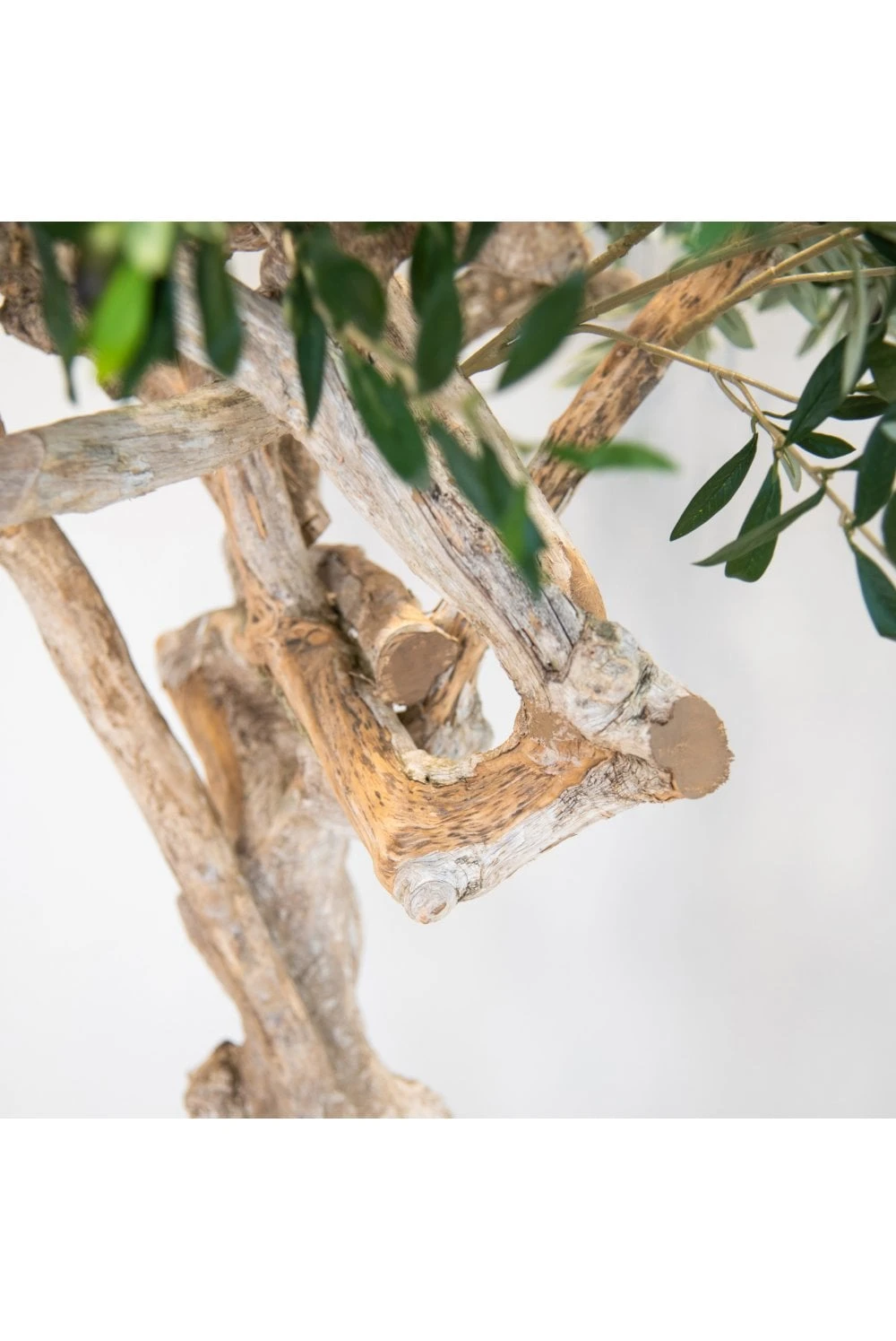 Artificial Olive Tree Coffee Wood Trunk 200cm Flame Retardant 4 Artificial Olive Tree Coffee Wood Trunk 200cm Flame Retardant - Image 2