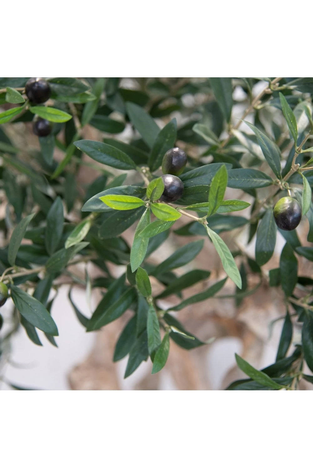 Artificial Olive Tree Coffee Wood Trunk 200cm Flame Retardant 5 Artificial Olive Tree Coffee Wood Trunk 200cm Flame Retardant - Image 3