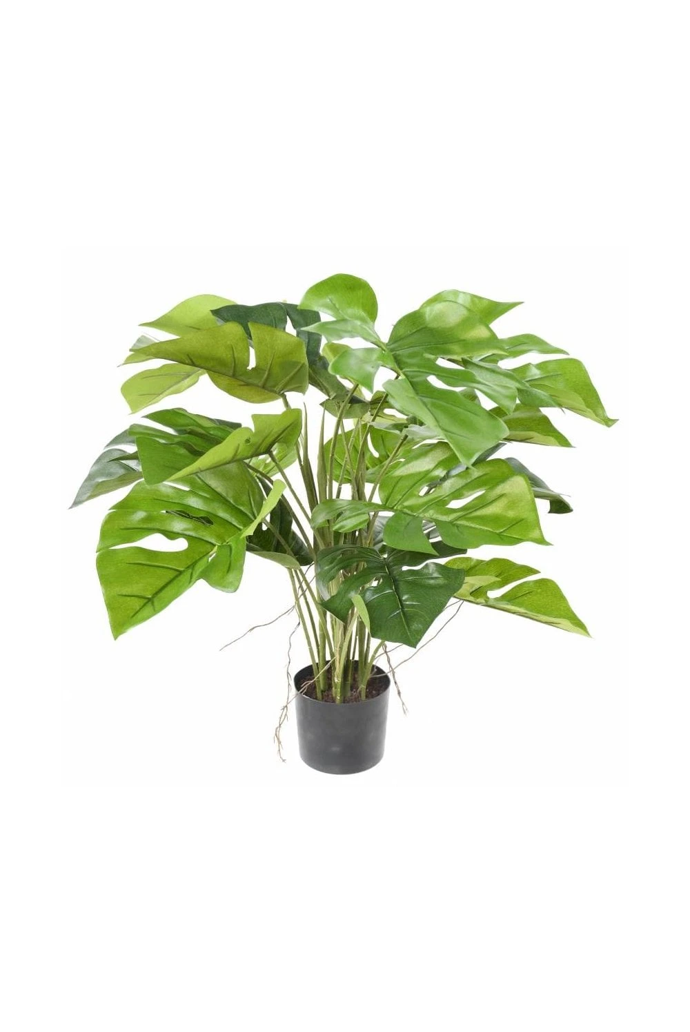 Artificial Philodendron Succulent Plant 60cm 8 Artificial Philodendron Succulent Plant 60cm - Image 6