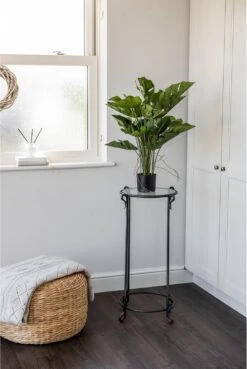 Artificial Philodendron Succulent Plant 60cm 11 Artificial Philodendron Succulent Plant 60cm -Artificial Plant Shop artificial philodendron succulent plant 60cm p467 2360 image