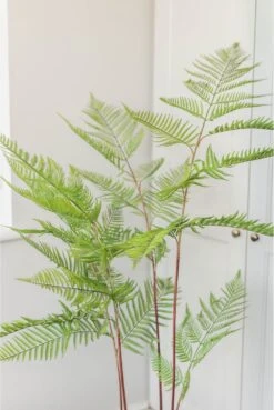 Artificial Potted Fern Plant 145cm -Artificial Plant Shop artificial potted fern plant 145cm p800 2327 image