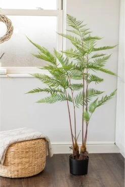 Artificial Potted Fern Plant 145cm -Artificial Plant Shop artificial potted fern plant 145cm p800 2328 image
