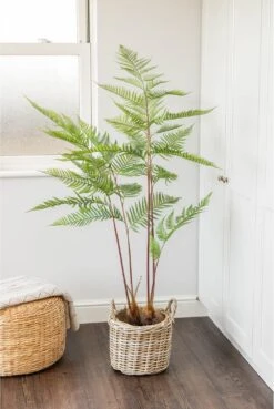 Artificial Potted Fern Plant 145cm -Artificial Plant Shop artificial potted fern plant 145cm p800 2330 image