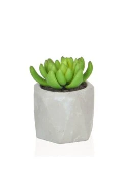 Artificial Potted Succulent 11cm