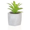 Artificial Potted Succulent 13cm -Artificial Plant Shop artificial potted succulent 13cm p702 1628 image