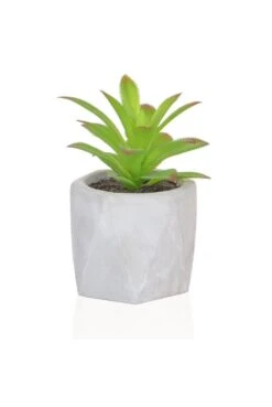 Artificial Potted Succulent 13cm