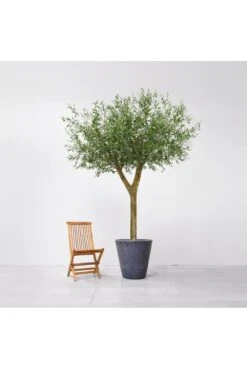 Large Artificial Olive Tree 3m - Inherently Flame Retardant