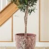 Lava Pink Stone Planter (3 Size Options) 2 Lava Pink Stone Planter (3 Size Options) -Artificial Plant Shop lava pink stone planter 3 size options p959 2568 image