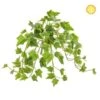 40cm UV Protected Ivy Green And Variegated -Artificial Plant Shop the artificial plants shop 40cm uv protected ivy green and variegated p543 1312 image