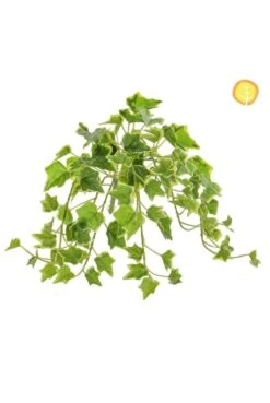 40cm UV Protected Ivy Green And Variegated