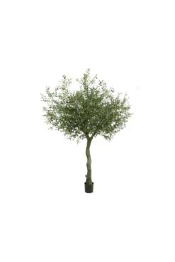 Artificial 2.3m Tall Olive Tree IFR