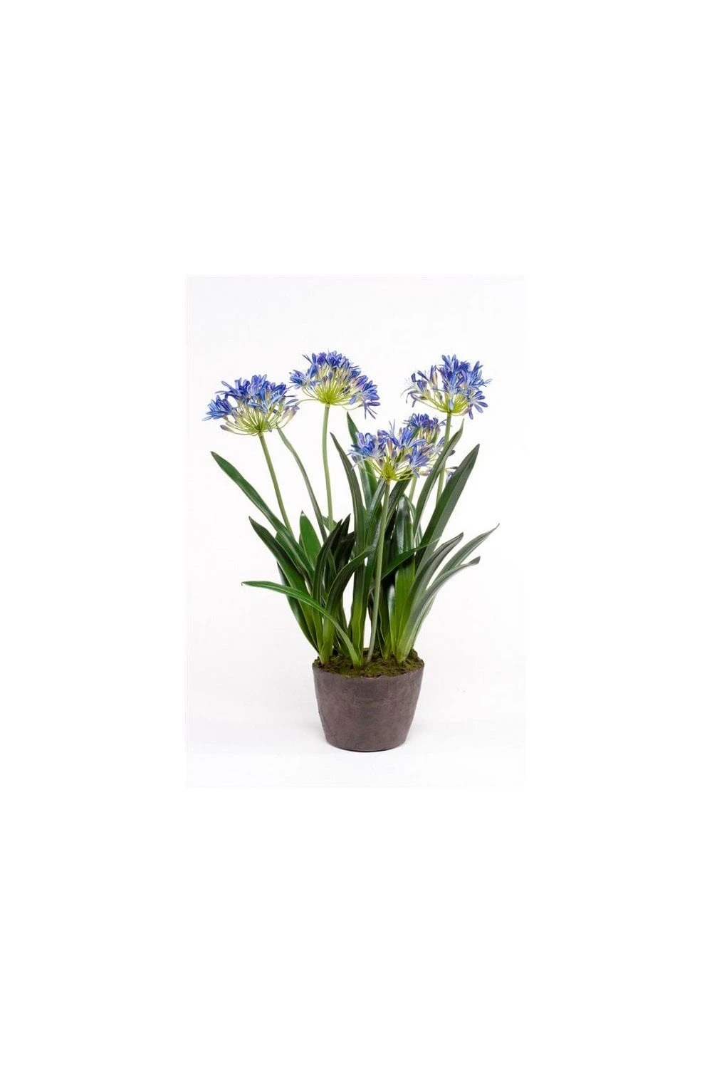 Artificial Agapanthus Display Blue 7 Artificial Agapanthus Display Blue - Image 5