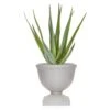 Artificial Aloe In Urn Arrangement -Artificial Plant Shop the artificial plants shop artificial aloe in urn arrangement p272 608 image