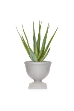 Artificial Aloe In Urn Arrangement