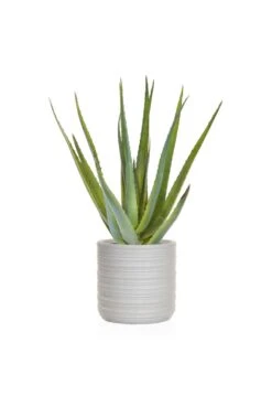 Artificial Aloe Succulent Plant 58cm Potted
