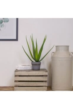 Artificial Aloe Succulent Potted Plant 50cm