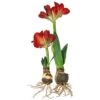 Artificial Amaryllis Red 73cm & 36cm