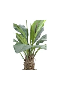 Artificial Anthurium Large -Artificial Plant Shop the artificial plants shop artificial anthurium large p376 844 image
