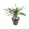 Artificial Anthurium -Artificial Plant Shop the artificial plants shop artificial anthurium p375 839 image