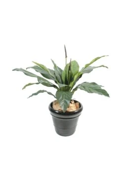 Artificial Anthurium