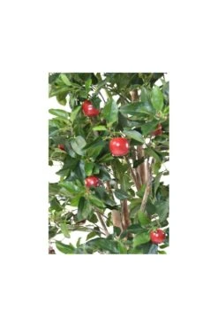 Artificial Apple Tree 250cm -Artificial Plant Shop the artificial plants shop artificial apple tree 250cm p399 890 image