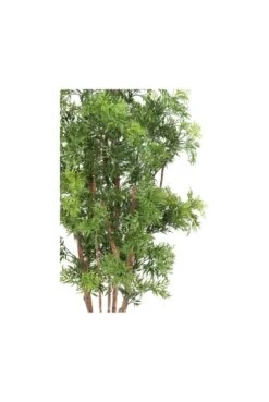 Artificial Aralia UV Resistant -Artificial Plant Shop the artificial plants shop artificial aralia uv resistant p502 1169 image
