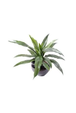 Artificial Asplenium Fern 40cm