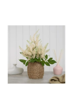 Artificial Astilbe Cream Potted