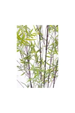 Artificial Bamboo - Fine Black Stem -Artificial Plant Shop the artificial plants shop artificial bamboo fine black stem p64 141 image