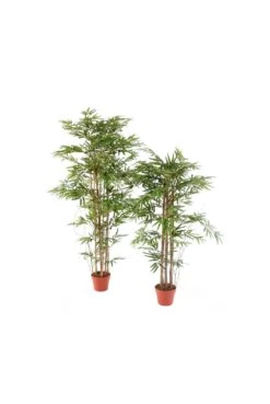 Artificial Bamboo New