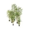 Artificial Bamboo Oriental - UV Resistant
