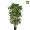 Artificial Bamboo Tree - Flame Retardant (IFR) -Artificial Plant Shop the artificial plants shop artificial bamboo tree flame retardant ifr p61 134 image