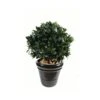 Artificial Bay Ball -Artificial Plant Shop the artificial plants shop artificial bay ball p77 203 image
