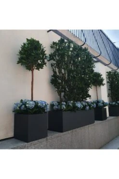 Artificial Bay Leaf Bespoke Hedges