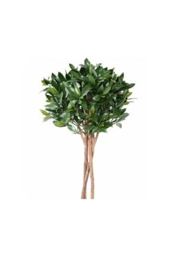 Artificial Bay Topiary Tree Multi Trunk 130cm UV -Artificial Plant Shop the artificial plants shop artificial bay topiary tree multi trunk 130cm uv p935 2428 image
