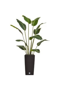 Artificial Bird Of Paradise Arrangement In Black Base