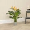 Artificial Bird Of Paradise Arrangement -Artificial Plant Shop the artificial plants shop artificial bird of paradise arrangement p764 1732 image