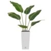 Artificial Bird Of Paradise Arrangement - White Base -Artificial Plant Shop the artificial plants shop artificial bird of paradise arrangement white base p343 1113 image