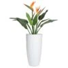Artificial Bird Of Paradise Flowering Arrangement - White Base